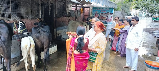 Image for Gaugrass Seva at Nandini Gaushala, Banashankari by Ashram Trust.