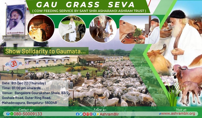 Image for Gaugrass Seva at Mahadevpura.