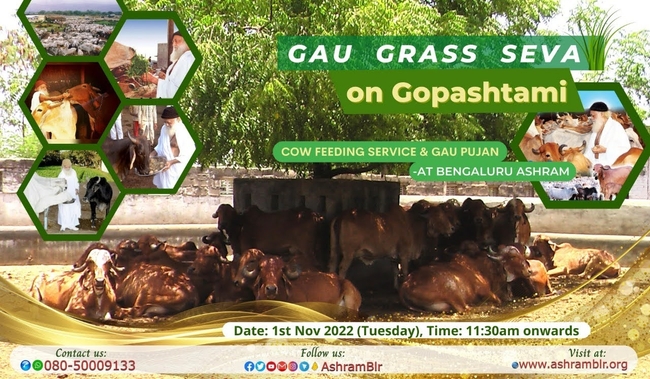 Image for Gopashtami celebrated at Bengaluru Ashram.