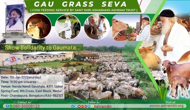 Image for Gaugrass Seva at Chandapura, Electronic city.