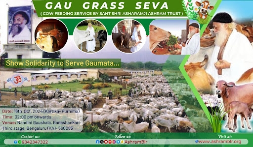 Image for Gaugrass Seva at Nandini Gaushala, Banashankari by Ashram Trust.