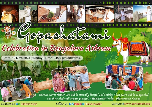 Gopashtami celebrated at Bengaluru Ashram.