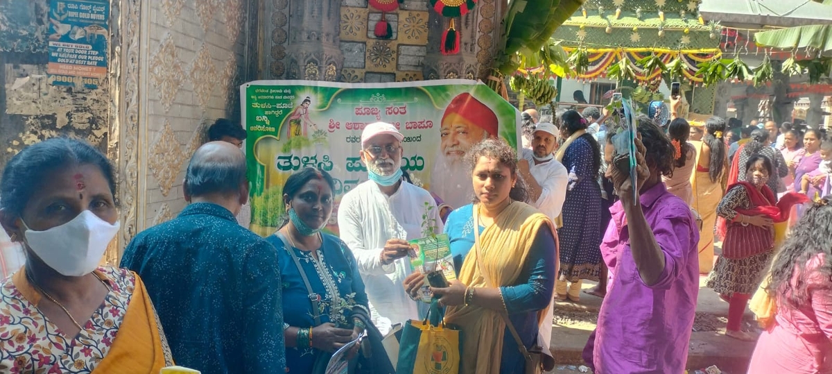 Tulsi plant distribution at Banashankari Temple.